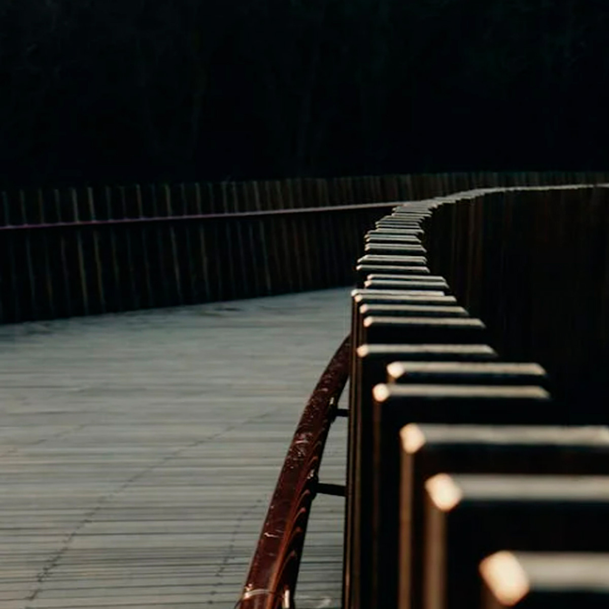 Puente peatonal y Carril Bici